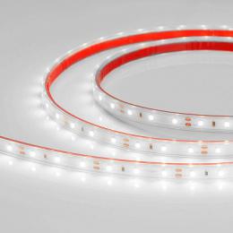 Светодиодная лента Arlight 4,8W/m 60LED/m 3528SMD белый 5M  - 2