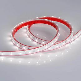 Светодиодная лента Arlight 4,8W/m 60LED/m 3528SMD дневной белый 5M  - 4