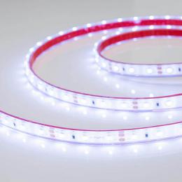 Светодиодная лента Arlight 4,8W/m 60LED/m 3528SMD холодный белый 5M  - 3