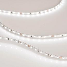 Светодиодная лента Arlight 5,4W/m 120LED/m 2216SMD дневной белый 5M  - 2