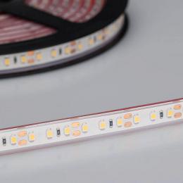 Светодиодная лента Arlight 9,6W/m 120LED/m 3528SMD холодный белый 5M  - 2