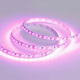 Светодиодная лента Arlight 9,6W/m 120LED/m 3528SMD розовый 5M  - 3