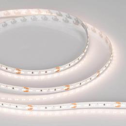 Светодиодная лента Arlight 9,6W/m 240LED/m 2216SMD белый 5M  - 3