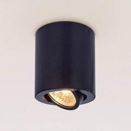 Изображение продукта Потолочный светильник Citilux Дюрен 