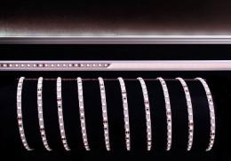 Изображение продукта Лента светодиодная Deko-Light 3528-120-24V-6200K-5m 