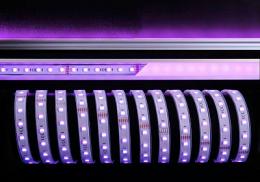 Изображение продукта Лента светодиодная Deko-Light 5050-60-24V-RGB+6200K-5m-silicon 