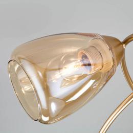 Потолочная люстра Eurosvet Noemi  - 3