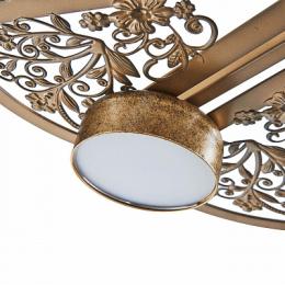 Потолочная светодиодная люстра Favourite Ornamentum  - 2