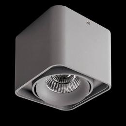 Потолочный светодиодный светильник Lightstar Monocco  - 2
