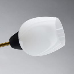 Потолочная люстра MW-Light Олимпия  - 7