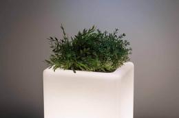 Уличный светодиодный светильник Paulmann Lichtobjekt Plant  - 2