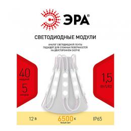 Изображение продукта Светодиодный модуль ЭРА  Б0044173 