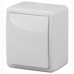 Изображение продукта Выключатель одноклавишный с подсветкой ЭРА Эксперт 10AX 250V IP54  Б0020671 